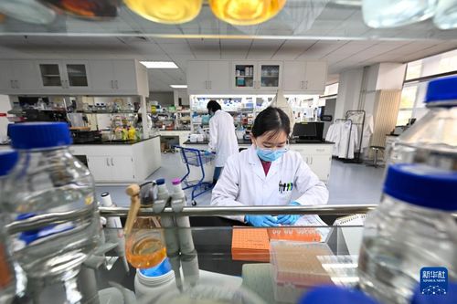 我在岗位上迎新年 企业技术咨询服务的坚守与展望