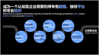 企业咨询服务进入2.0时代 IBM领航咨询新模式